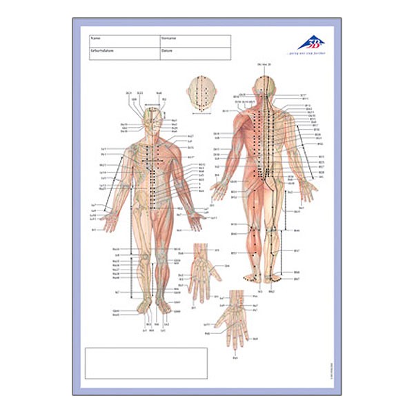 3B Scientific Meridian NotizblockVorderseite im DIN A4 Format