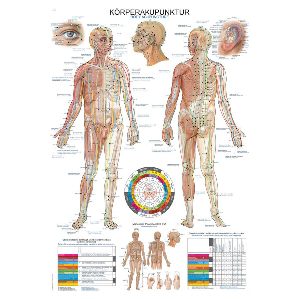 erler - ZimmerLehrtafel Körperakupunktur 70 x 100 cm