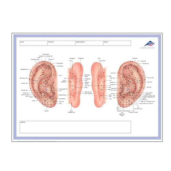 3B Scientific - Blocco Note Meridiani Agopuntura, 50 Fogli Francese - Foto 6